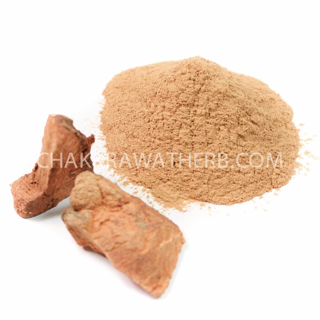 ข้าวเย็นเหนือ (ผง) - 1 KG. วัตถุดิบสมุนไพรผง ร้านจักรวรรดิสมุนไพรจำหน่ายสมุนไพรบดผงแท้ 100% , สมุนไพรคัดพิเศษมีคุณภาพ