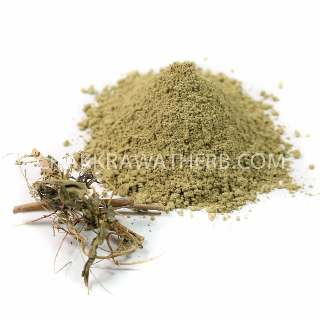 ใต้ใบ (ผง) - 1 KG. วัตถุดิบสมุนไพรผง ร้านจักรวรรดิสมุนไพรจำหน่ายสมุนไพรบดผงแท้ 100% , สมุนไพรคัดพิเศษมีคุณภาพ