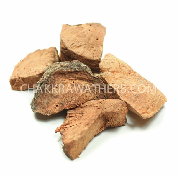 ข้าวเย็นเหนือ (ผง) - 1 KG. วัตถุดิบสมุนไพรผง ร้านจักรวรรดิสมุนไพรจำหน่ายสมุนไพรบดผงแท้ 100% , สมุนไพรคัดพิเศษมีคุณภาพ