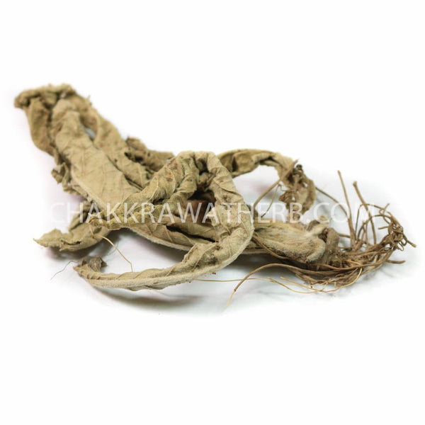 โด่ไม่รู้ล้ม (ผง) - 1 KG. วัตถุดิบสมุนไพรผง ร้านจักรวรรดิสมุนไพรจำหน่ายสมุนไพรบดผงแท้ 100% , สมุนไพรคัดพิเศษมีคุณภาพ