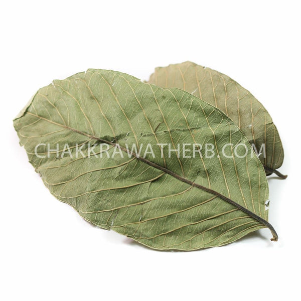 ใบฝรั่ง (ผง) - 1 KG. วัตถุดิบสมุนไพรผง ร้านจักรวรรดิสมุนไพรจำหน่ายสมุนไพรบดผงแท้ 100% , สมุนไพรคัดพิเศษมีคุณภาพ