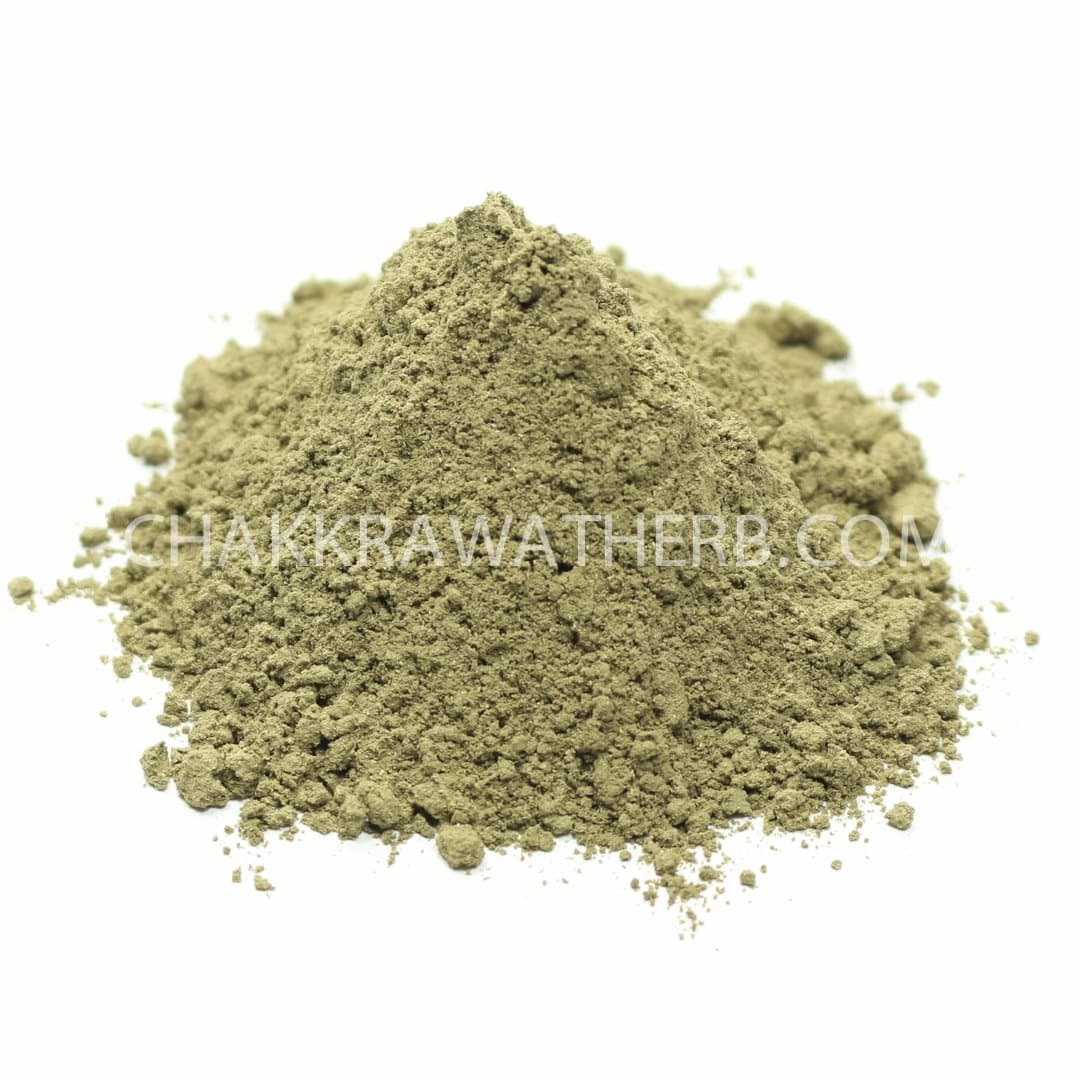 ทองพันชั่ง (ผง) - 1 KG. วัตถุดิบสมุนไพรผง ร้านจักรวรรดิสมุนไพรจำหน่ายสมุนไพรบดผงแท้ 100% , สมุนไพรคัดพิเศษมีคุณภาพ