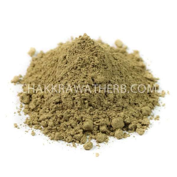 ใบฝรั่ง (ผง) - 1 KG. วัตถุดิบสมุนไพรผง ร้านจักรวรรดิสมุนไพรจำหน่ายสมุนไพรบดผงแท้ 100% , สมุนไพรคัดพิเศษมีคุณภาพ