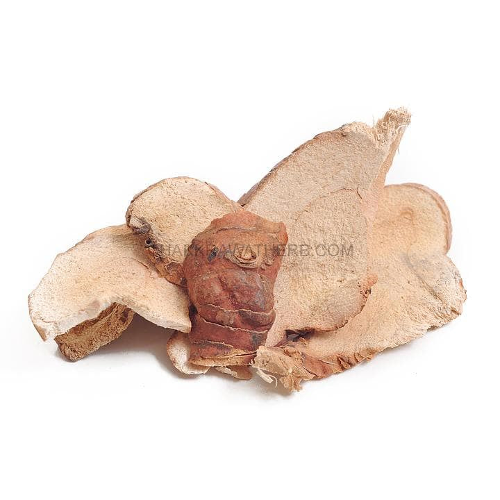 ข่า (ผง) - 1 KG. วัตถุดิบสมุนไพรผง ร้านจักรวรรดิสมุนไพรจำหน่ายสมุนไพรบดผงแท้ 100% , สมุนไพรคัดพิเศษมีคุณภาพ