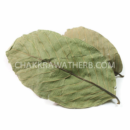 ใบฝรั่ง (ผง) - 1 KG. วัตถุดิบสมุนไพรผง ร้านจักรวรรดิสมุนไพรจำหน่ายสมุนไพรบดผงแท้ 100% , สมุนไพรคัดพิเศษมีคุณภาพ