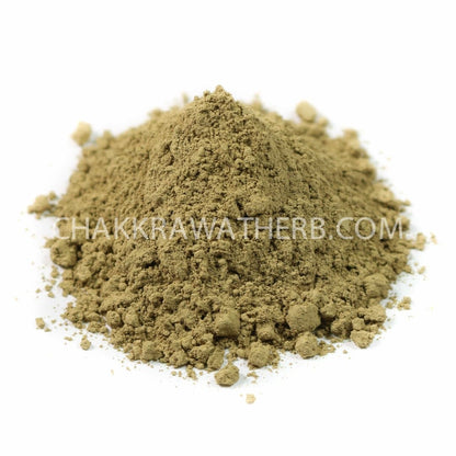 ใบฝรั่ง (ผง) - 1 KG. วัตถุดิบสมุนไพรผง ร้านจักรวรรดิสมุนไพรจำหน่ายสมุนไพรบดผงแท้ 100% , สมุนไพรคัดพิเศษมีคุณภาพ